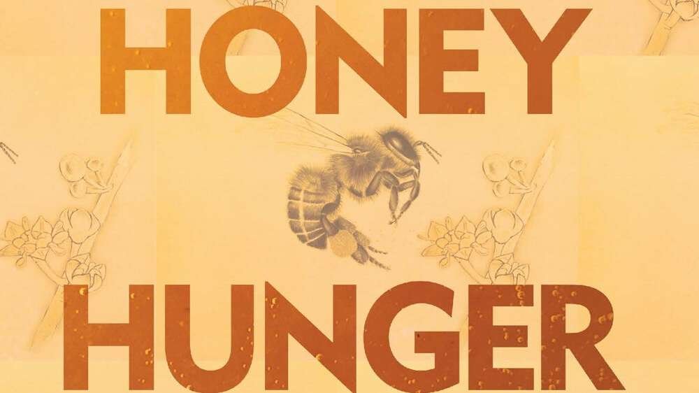 Cover of Honey Hunger by Zahran Alqasmi (Hoopoe, 2025)